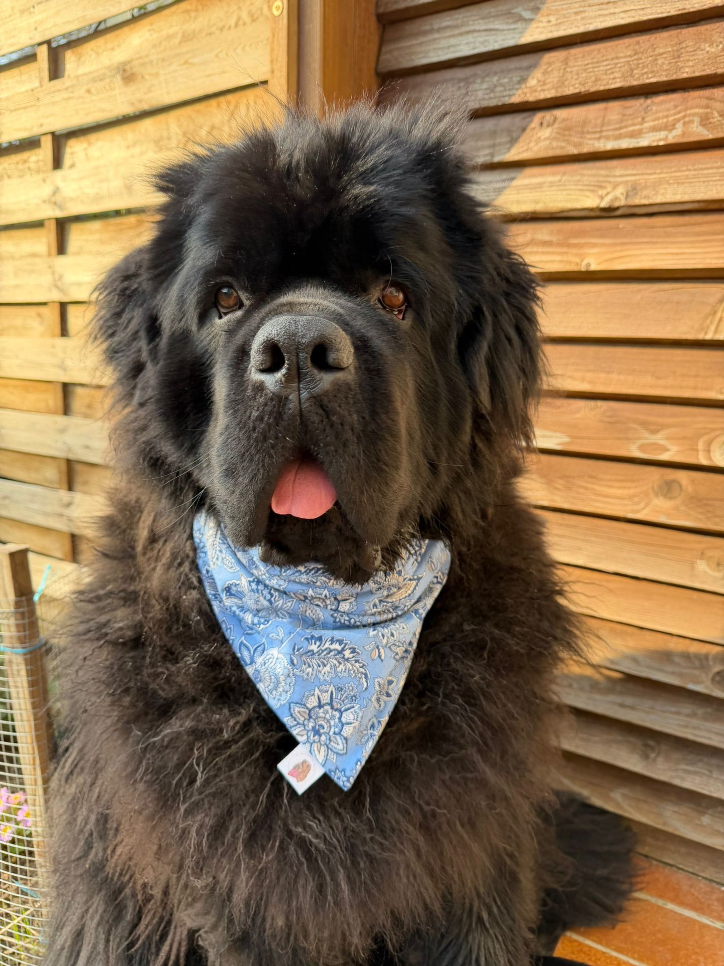 Bandana en coton - fleurs