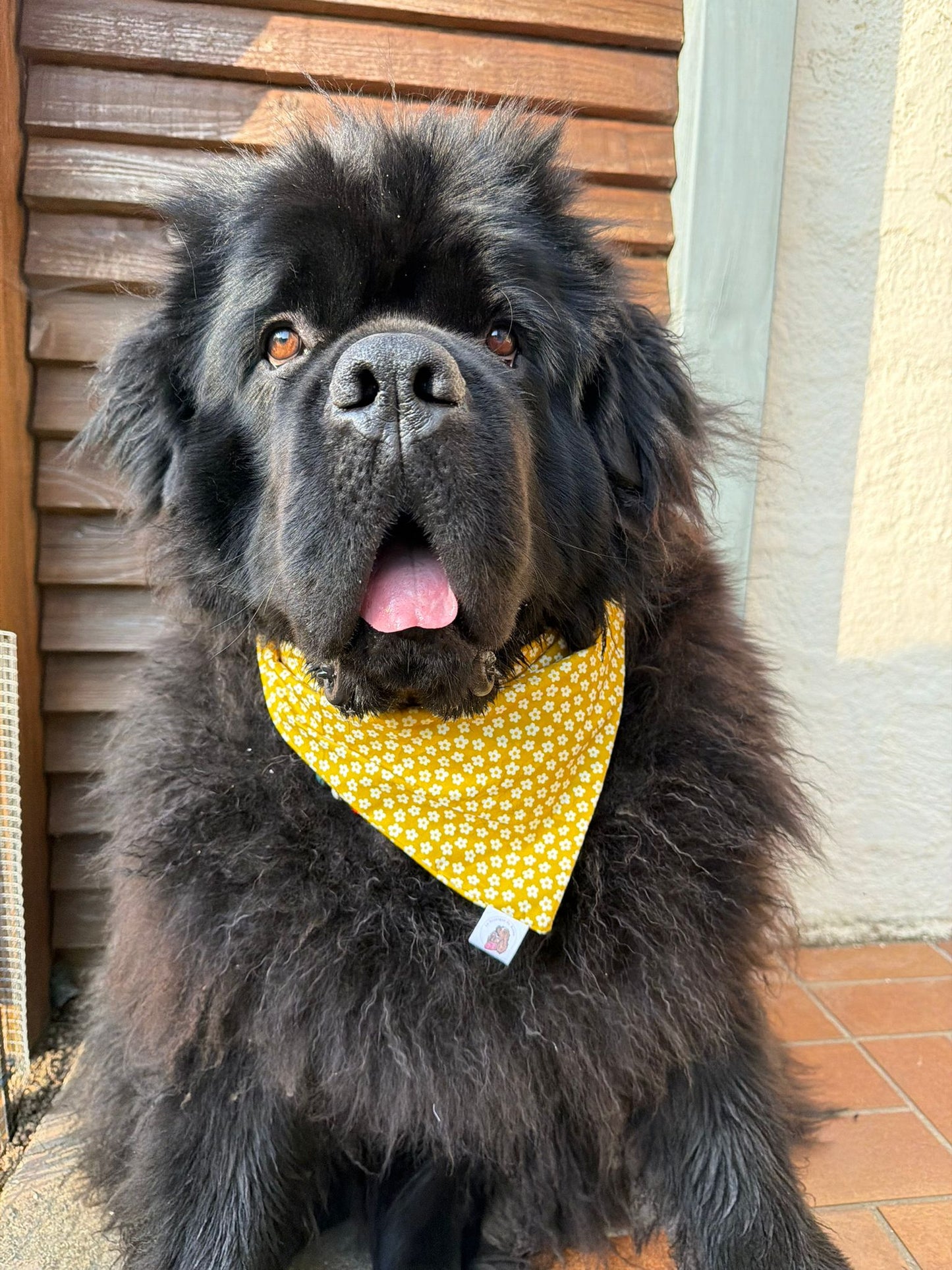 Bandana en coton - fleurs