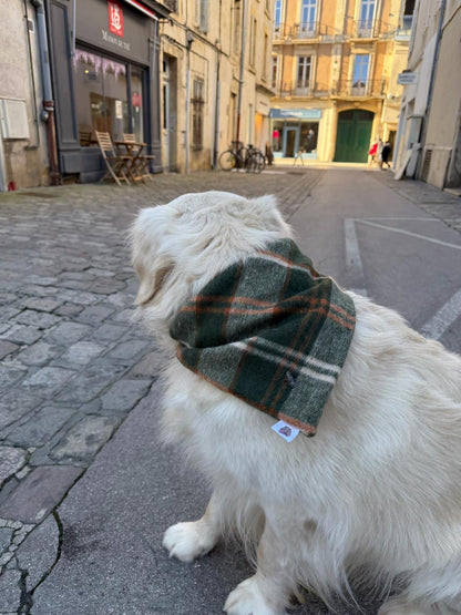 Bandana Tartan & pied de poule