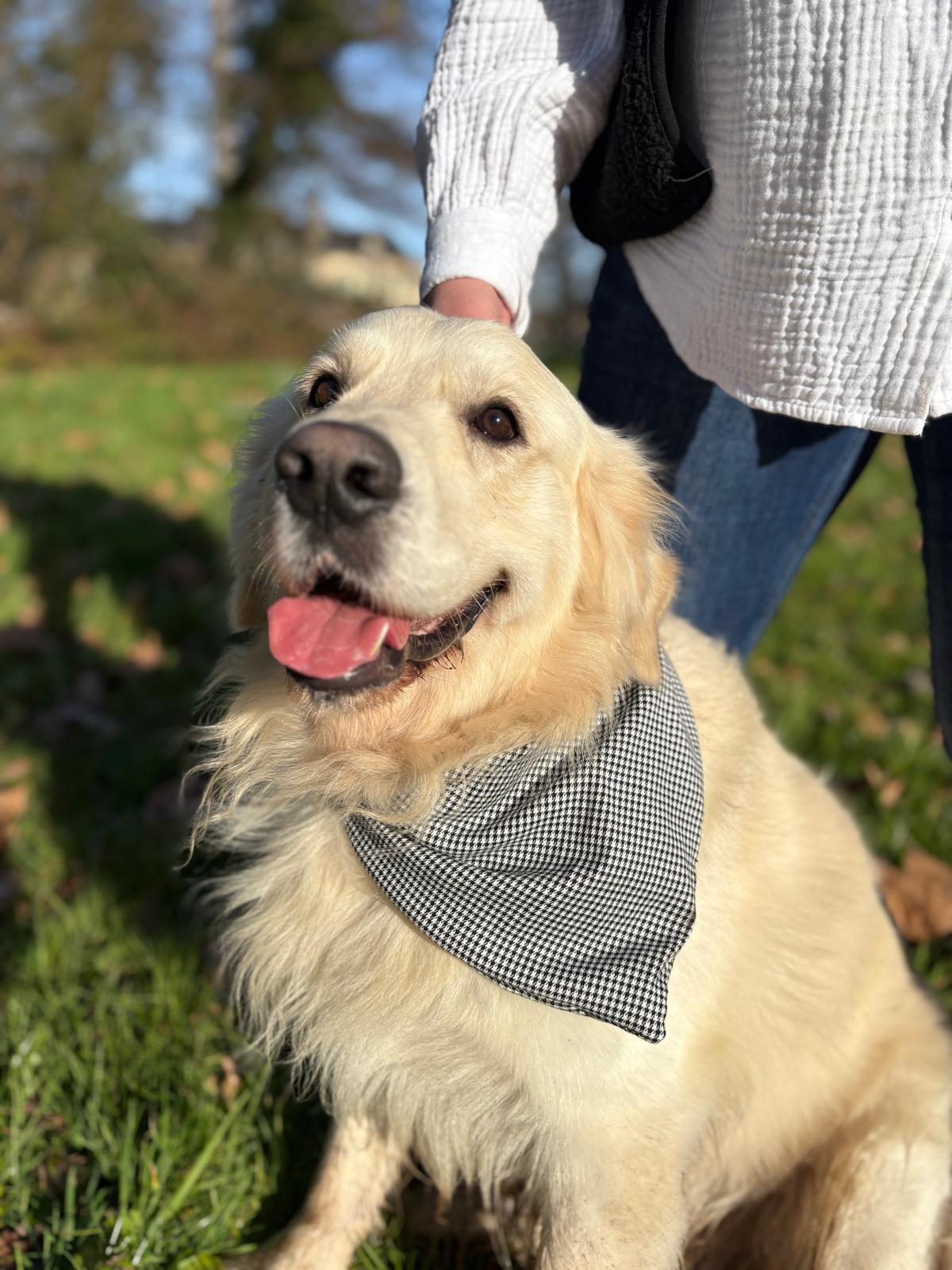 Bandana Tartan & pied de poule