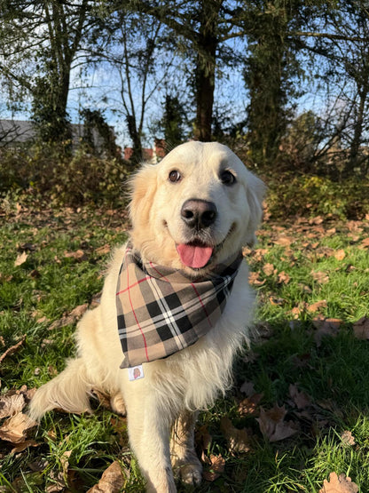 Bandana Tartan & pied de poule