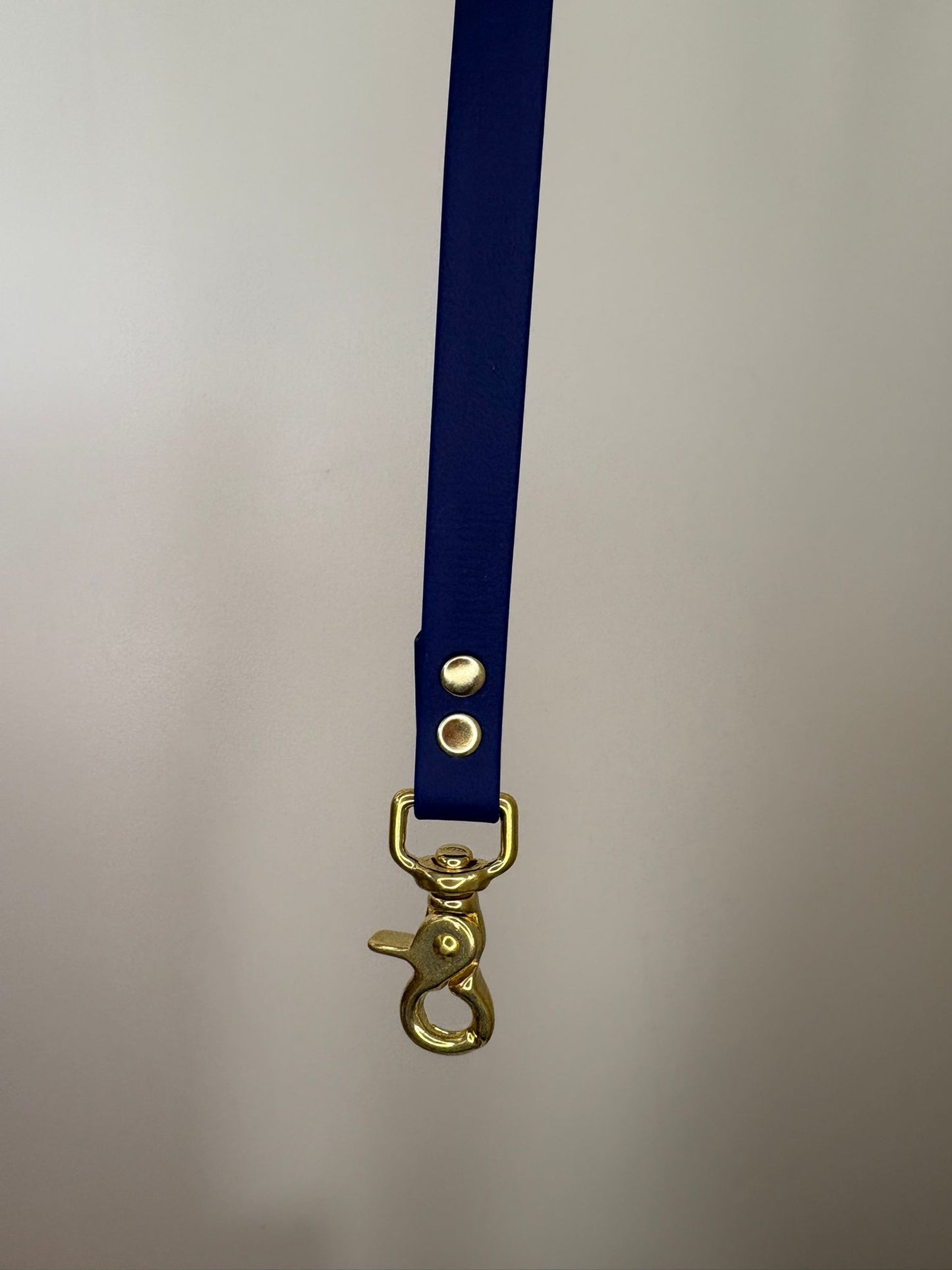 Laisse en biothane - Bleu nuit