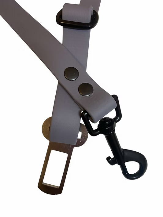Ceinture de sécurité en biothane