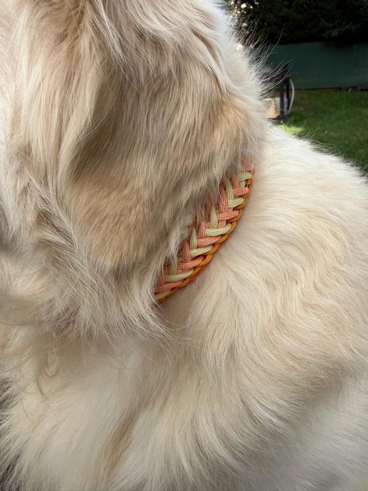 Collier Lilo