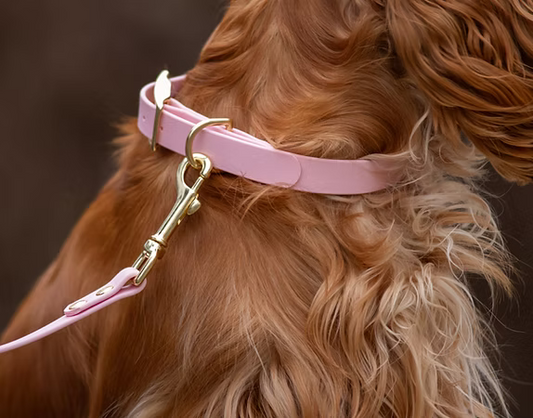 Collier en biothane