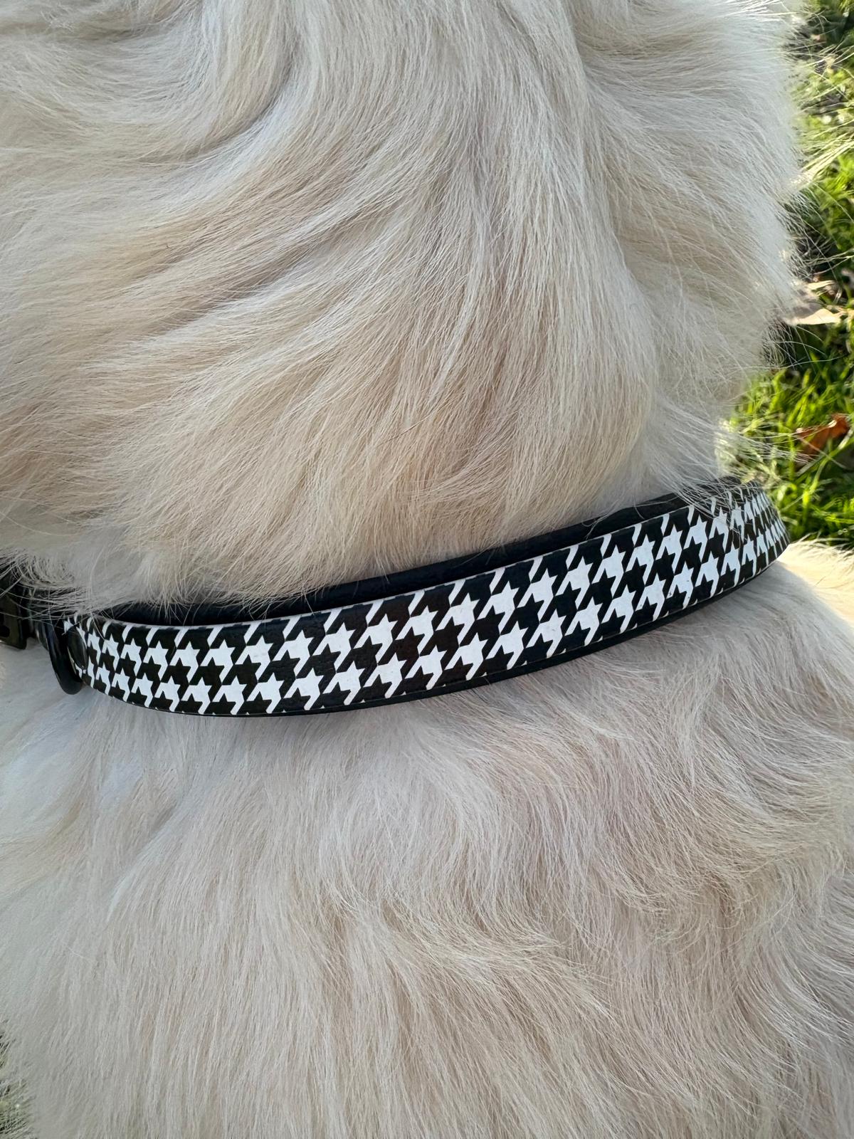 Collier Patchi en biothane - Tartan & Pied de poule