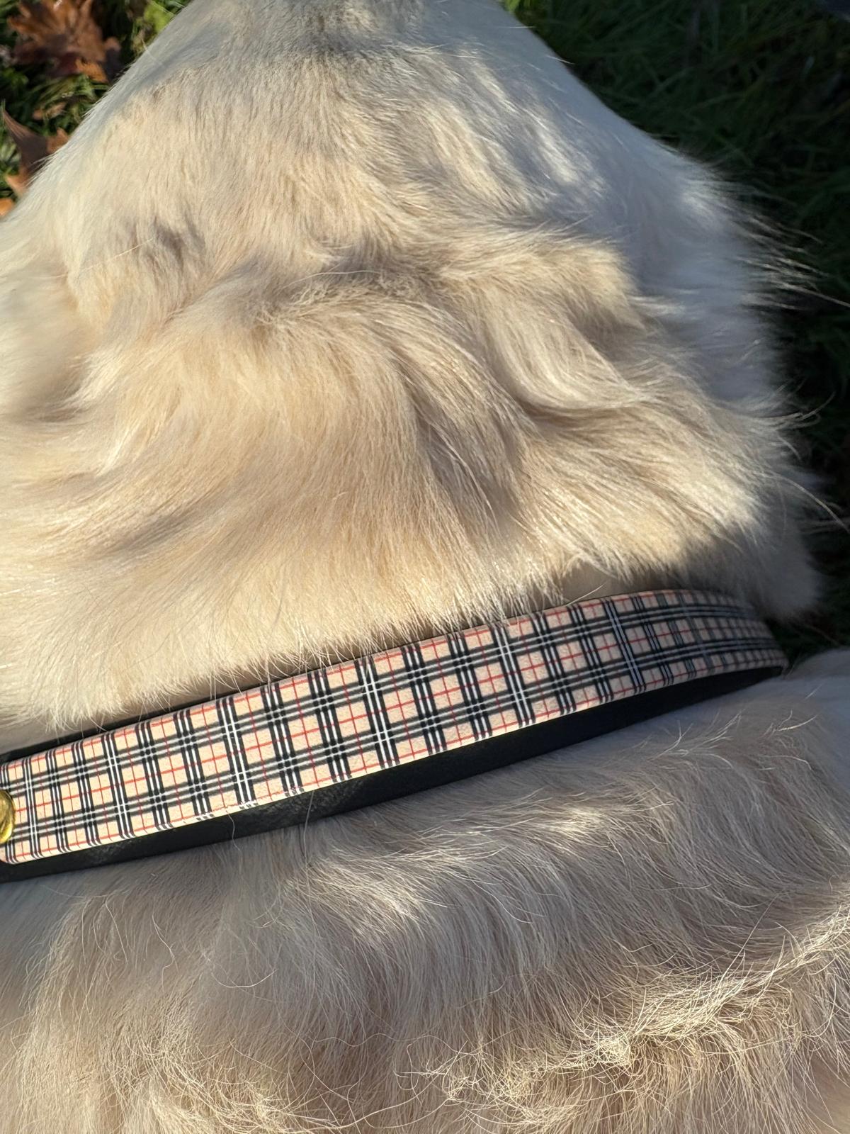 Collier Patchi en biothane - Tartan & Pied de poule