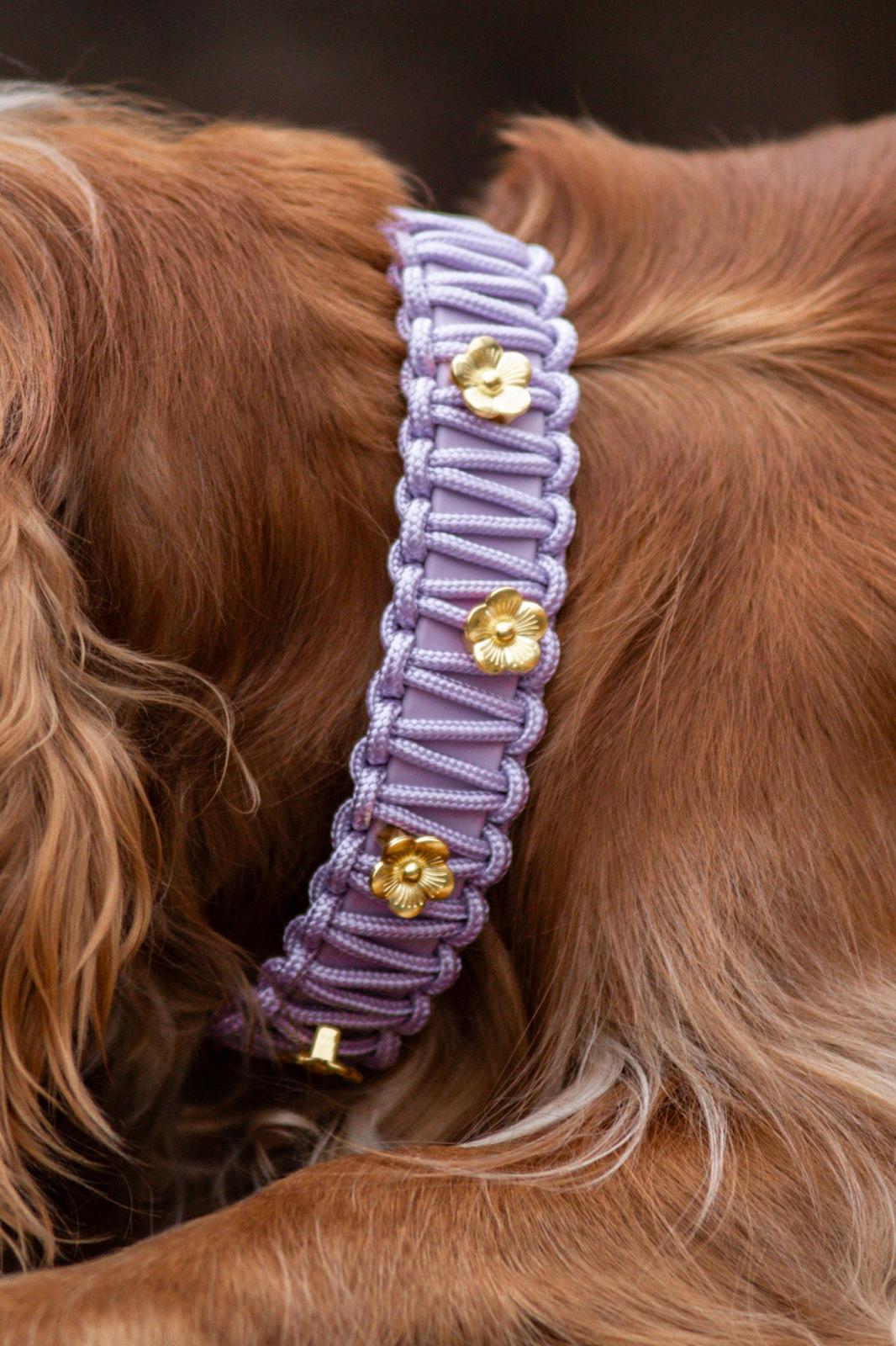 Collier Vaina
