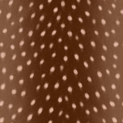 Snood imperméable - animaux