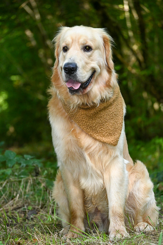 Bandana - bouclette