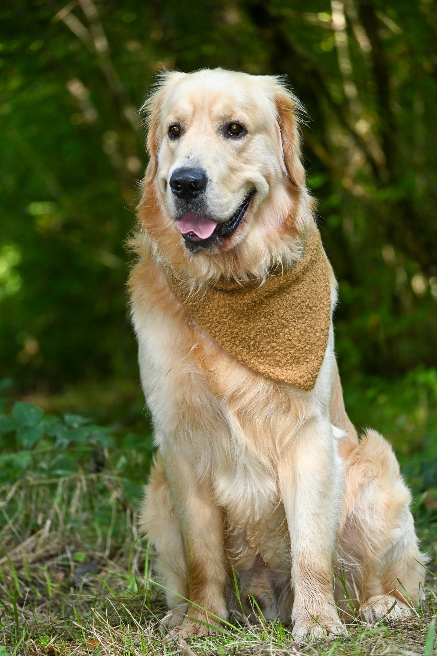 Bandana - collection automne