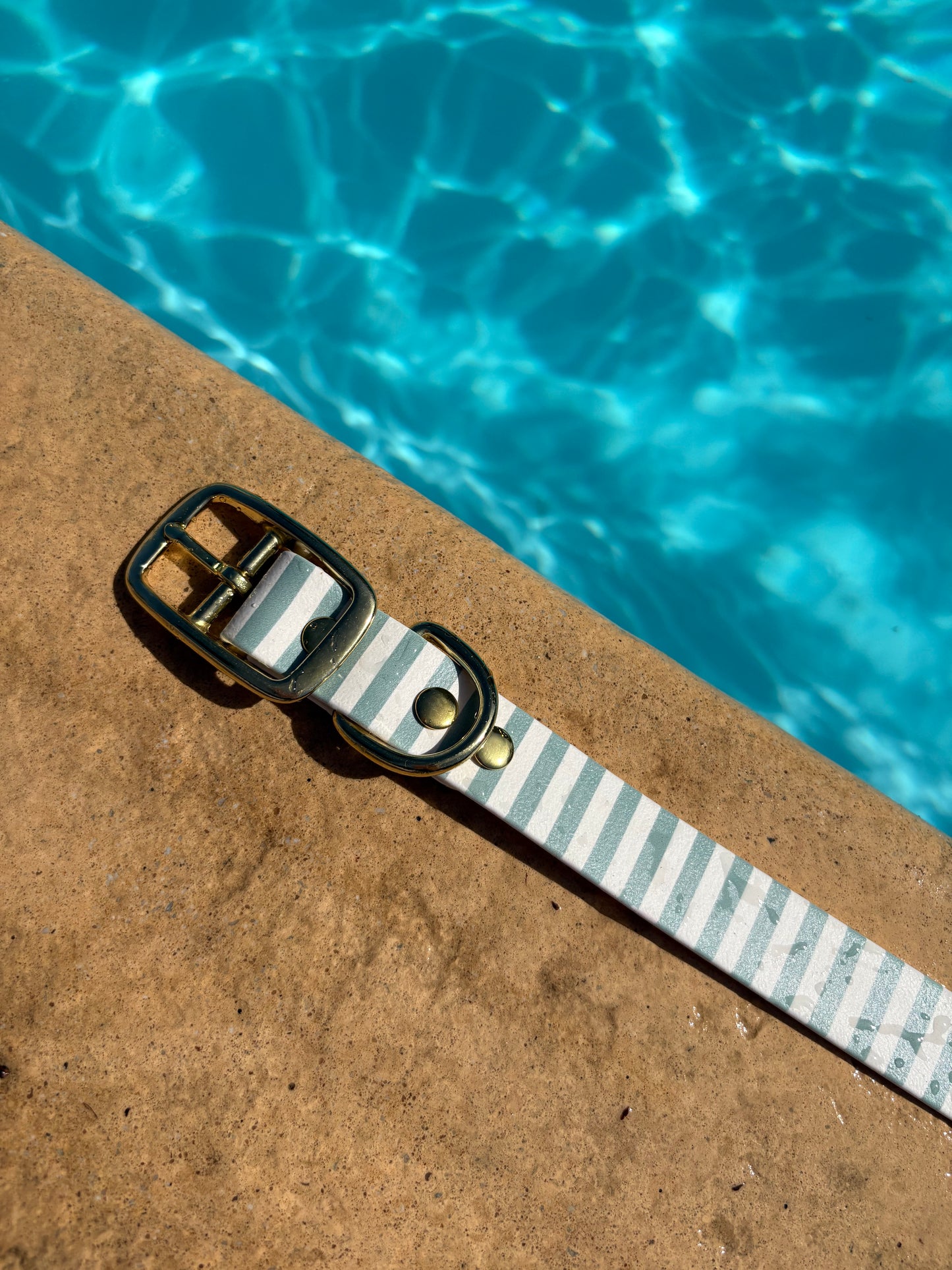 Collier en biothane - motifs été