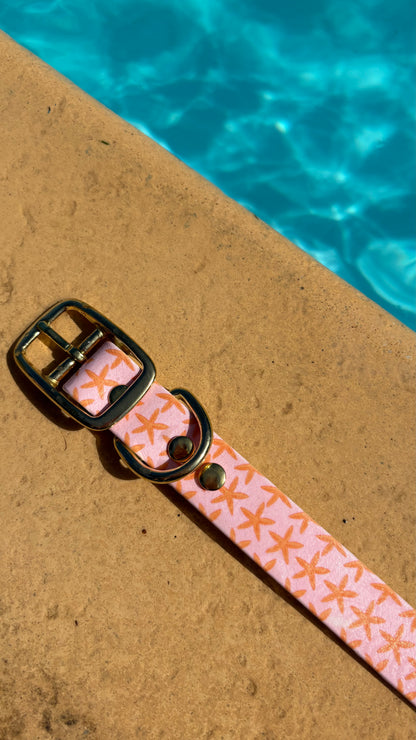 Collier en biothane - motifs été