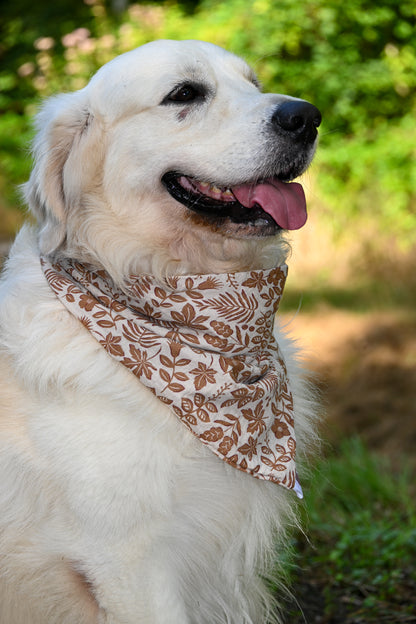 Bandana - collection automne