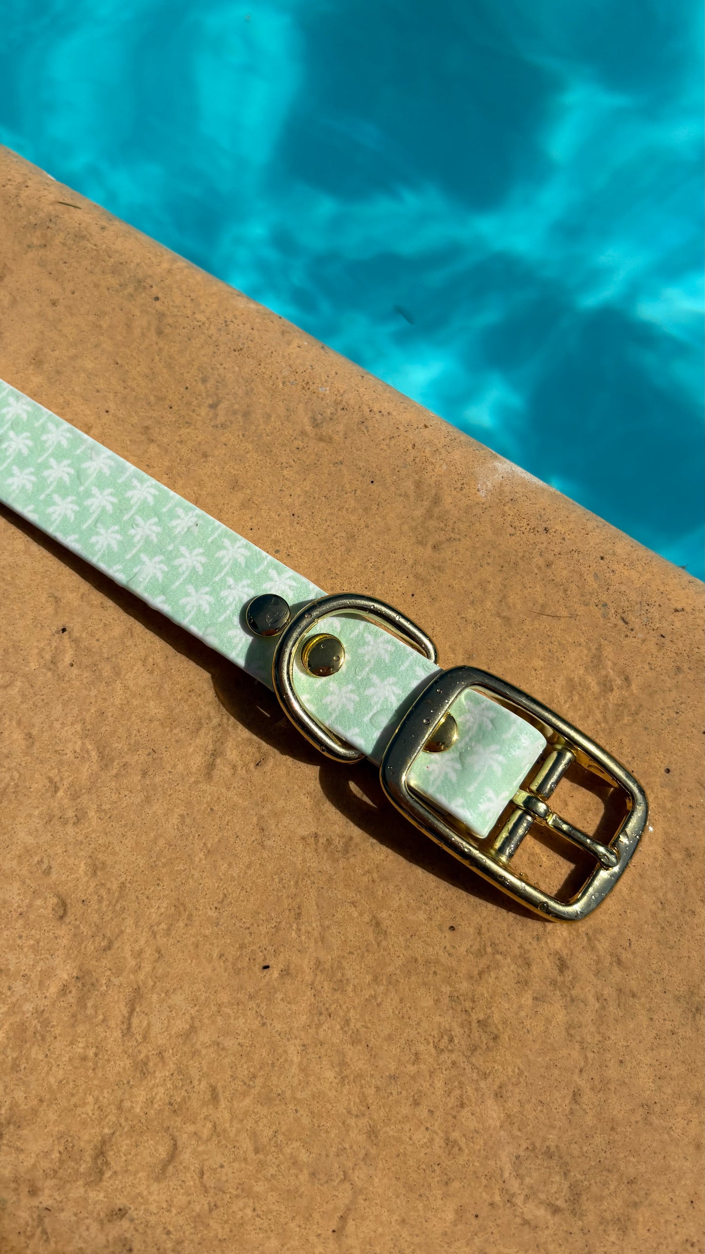Collier en biothane - motifs été
