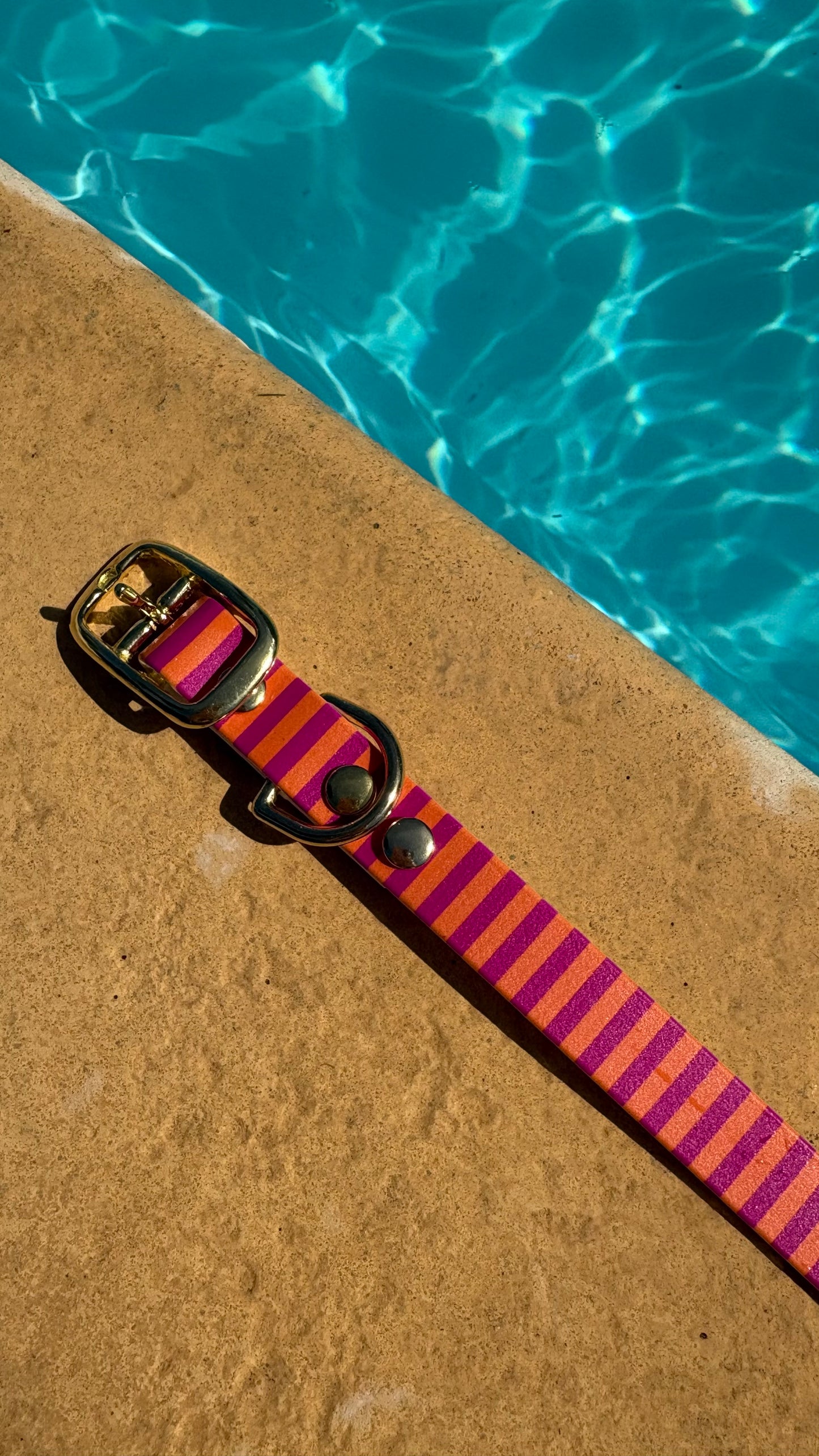 Collier en biothane - motifs été