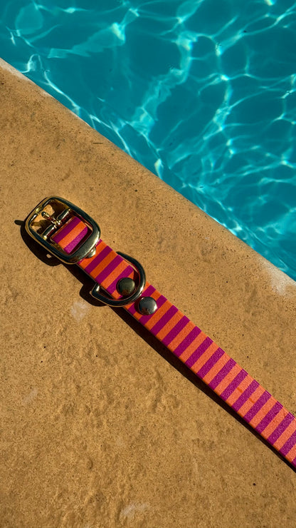 Collier en biothane - motifs été