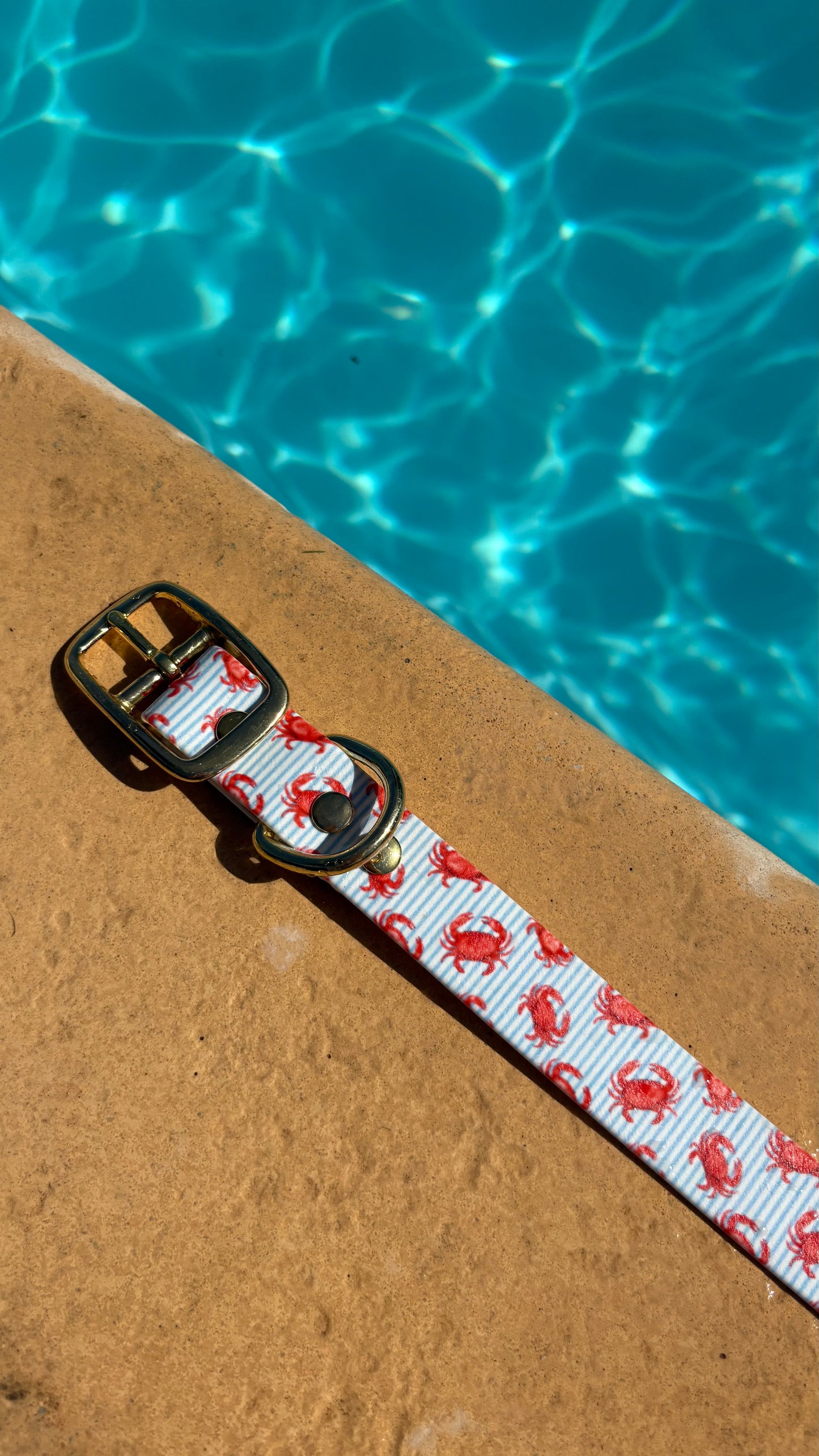 Collier en biothane - motifs été