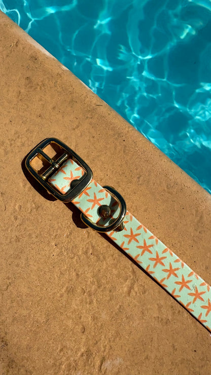 Collier en biothane - motifs été