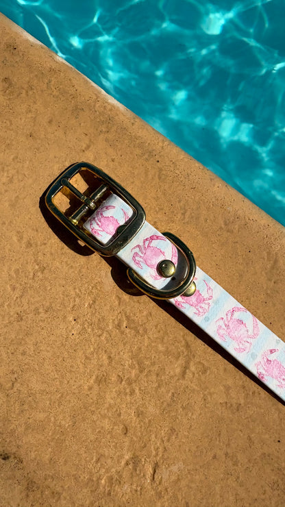 Collier en biothane - motifs été