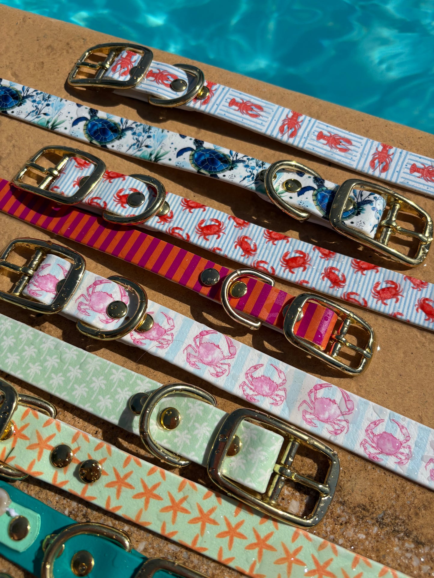 Collier en biothane - motifs été