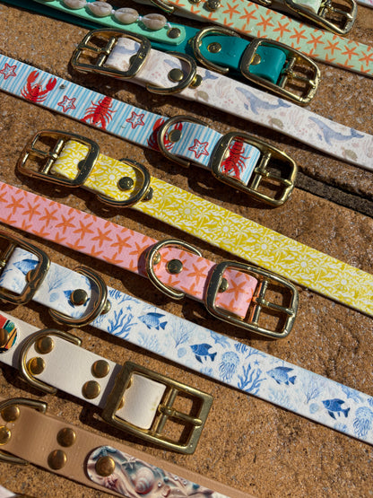 Collier en biothane - motifs été
