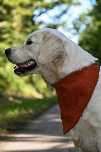 Bandana - collection automne
