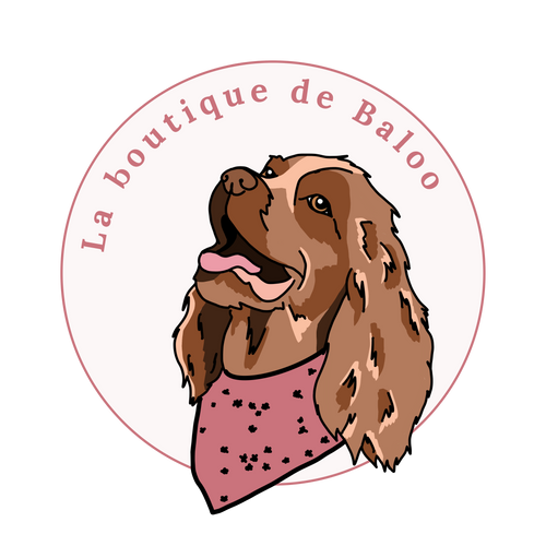 La boutique de Baloo