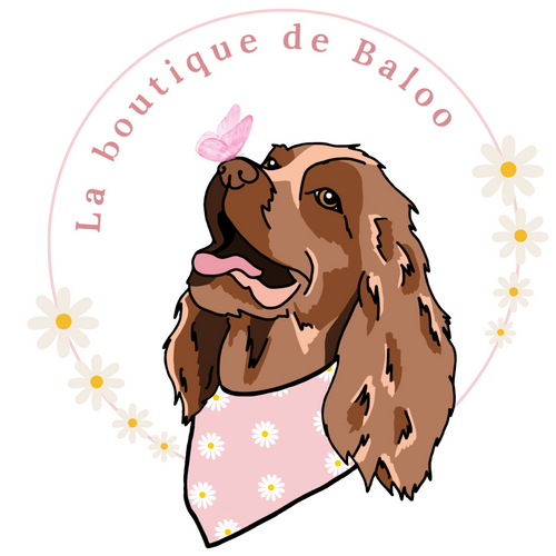 La boutique de Baloo