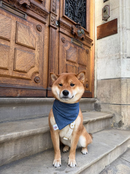 Bandana - Jean