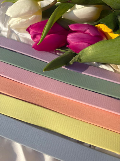 Laisse en biothane - Pastel