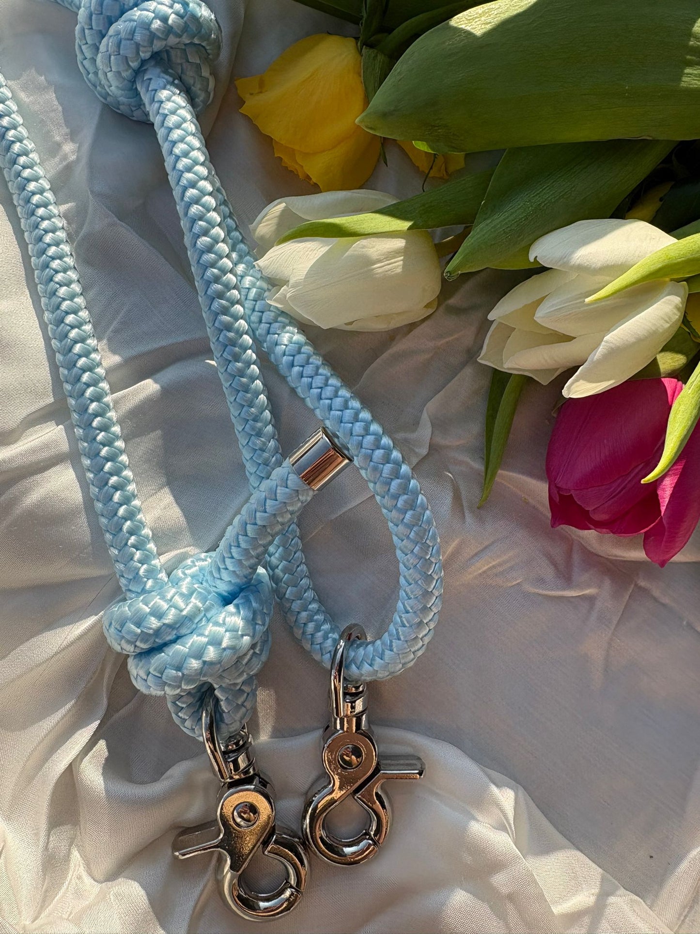 Laisse en corde - printemps