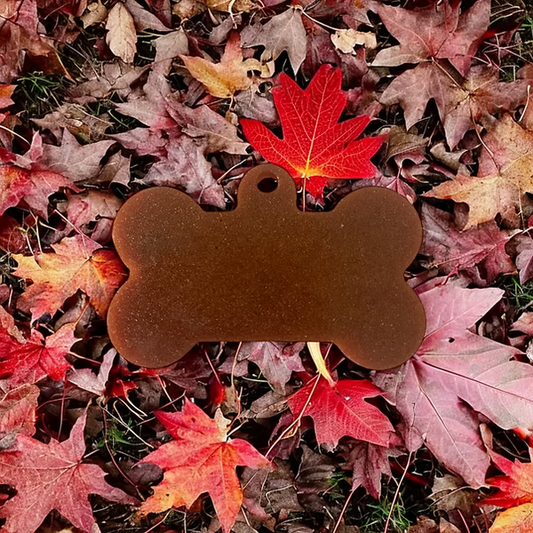 Médaille - os