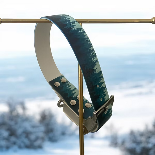 Collier en biothane  - motifs