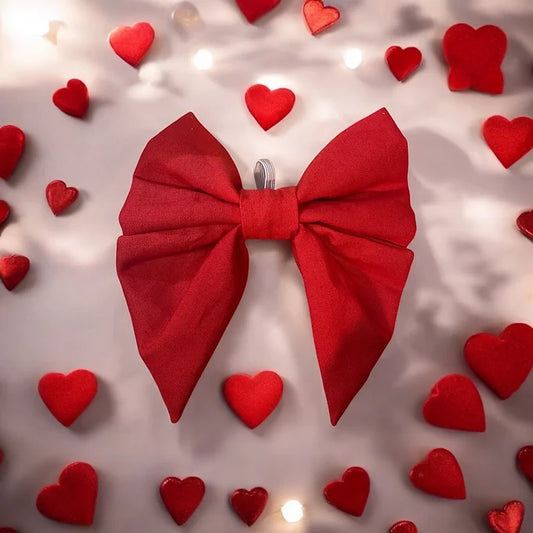 Noeud papillon - St Valentin