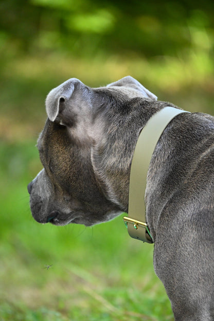 Collier en biothane - collection automne