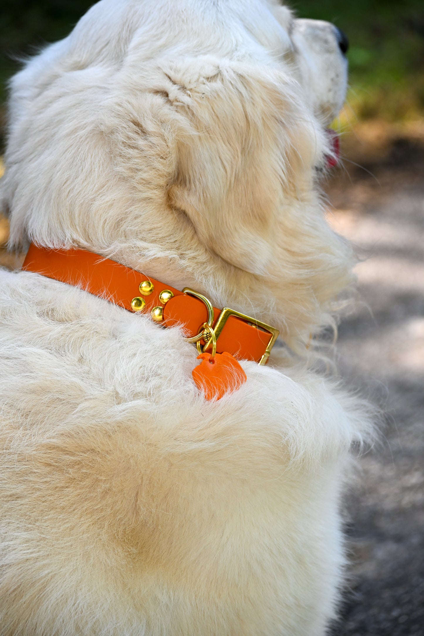 Collier en biothane - collection automne