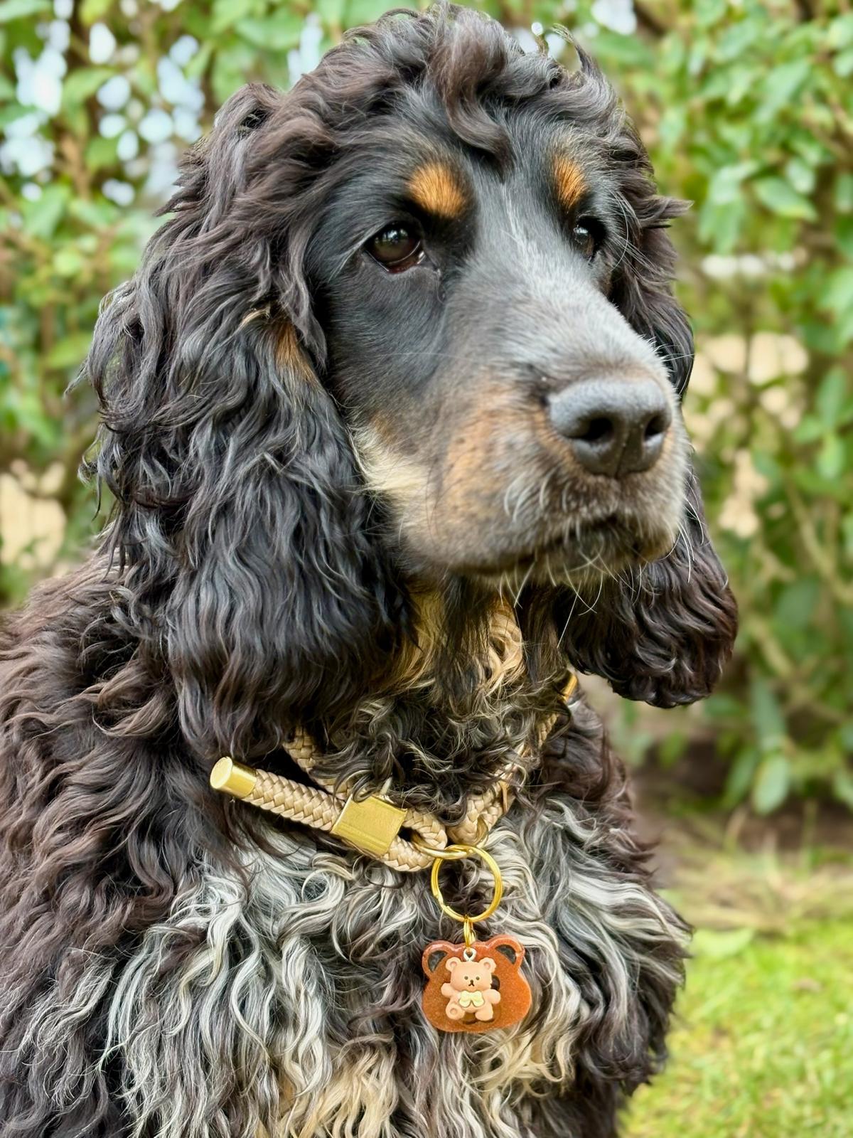 Médaille Ourson