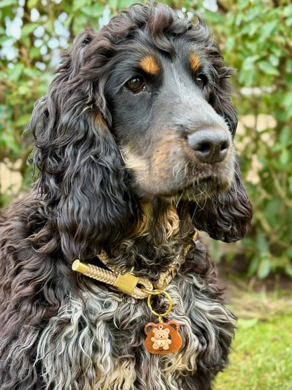 Médaille Ourson