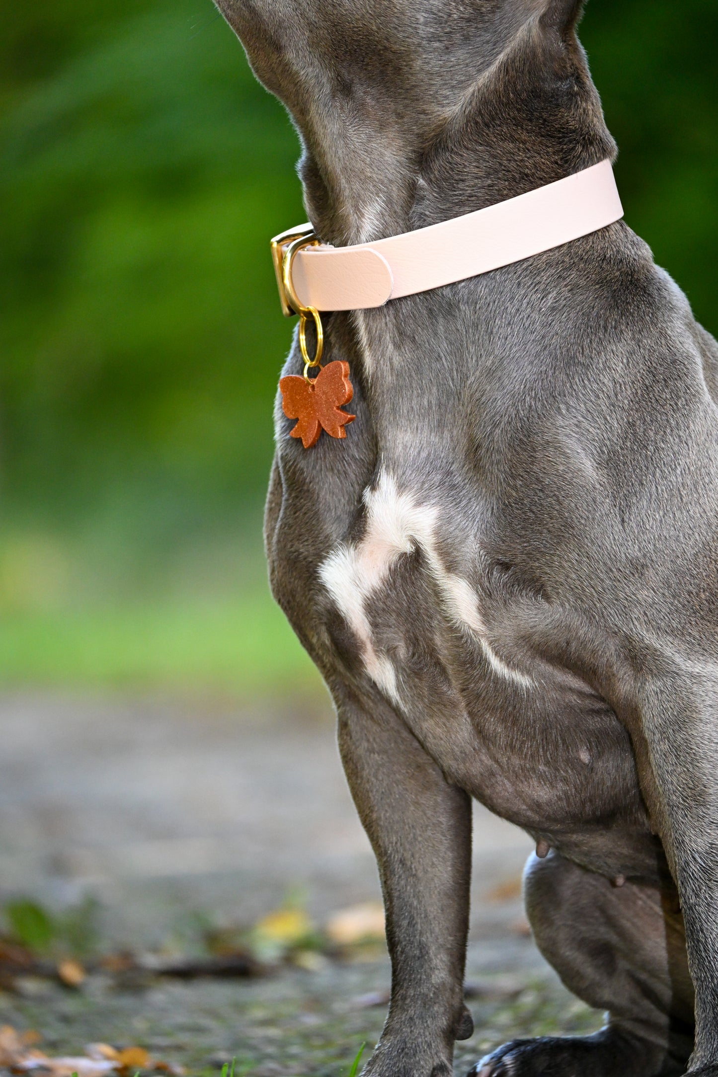 Collier en biothane - collection automne