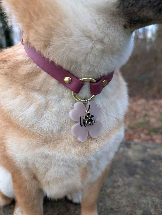 Porte médaille en biothane