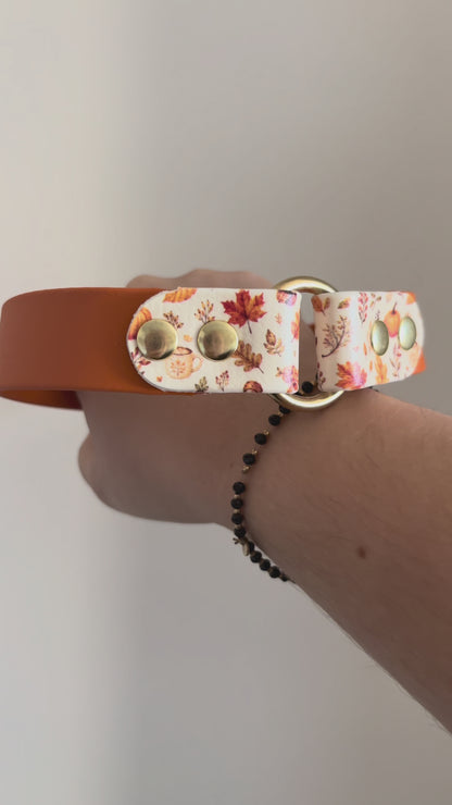 Collier en biothane à motifs - automne