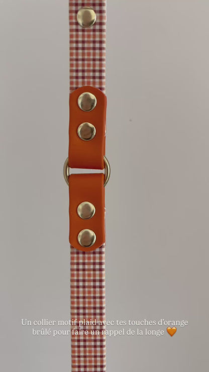 Collier en biothane à motifs - automne