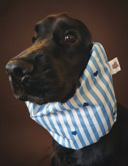 Snood imperméable - coeurs