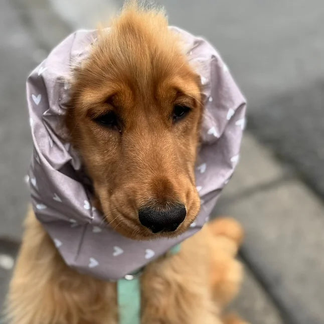 Snood imperméable - St Valentin