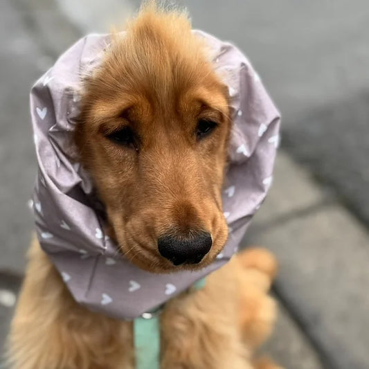 Snood imperméable - St Valentin