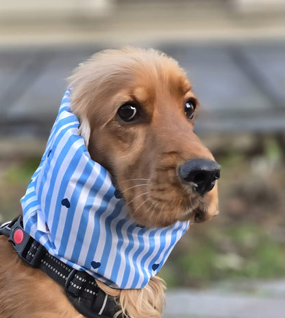 Snood imperméable - coeurs