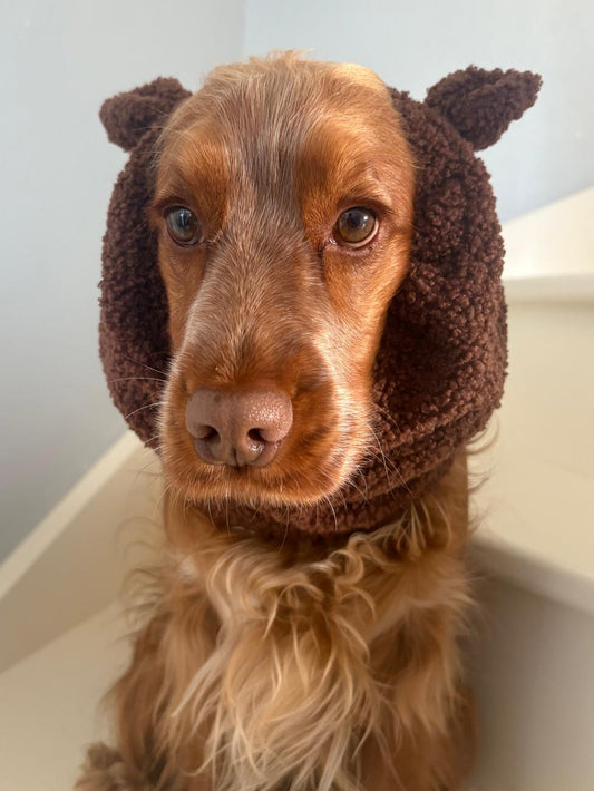 Snood - oreilles d'ours