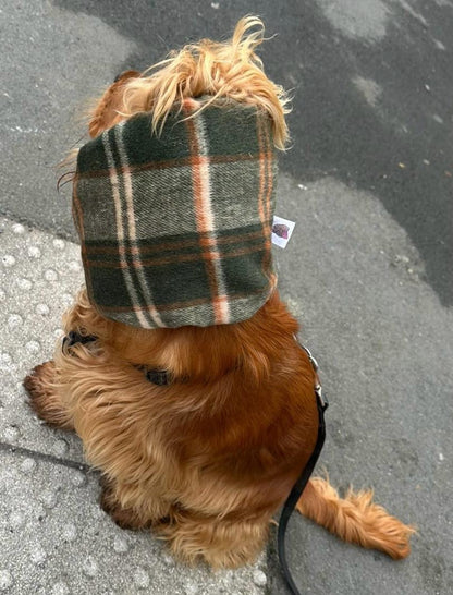 Snood Tartan & Pied de poule