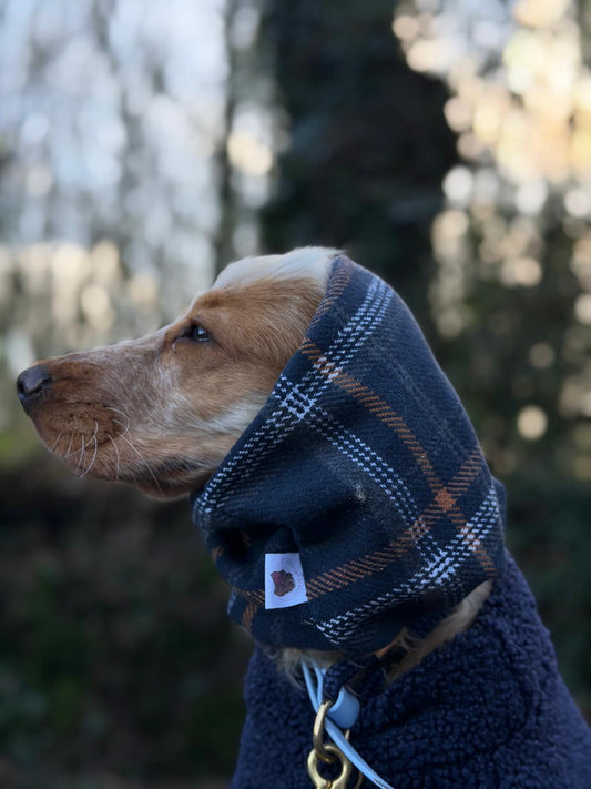 Snood Tartan & Pied de poule